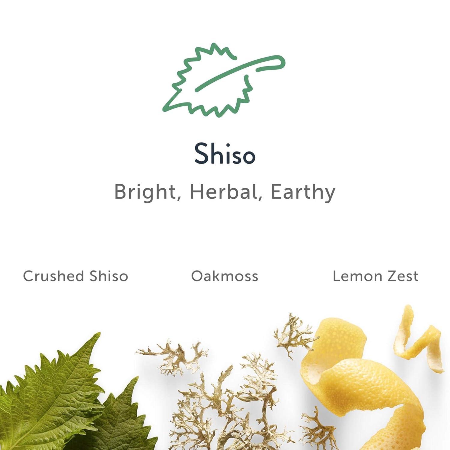 imageHarrys Antiperspirant Deodorant Sweat ampamp Odor Control Antiperspirant for Men Redwood 25 oz Pack of 3Aluminum Free Discontinued