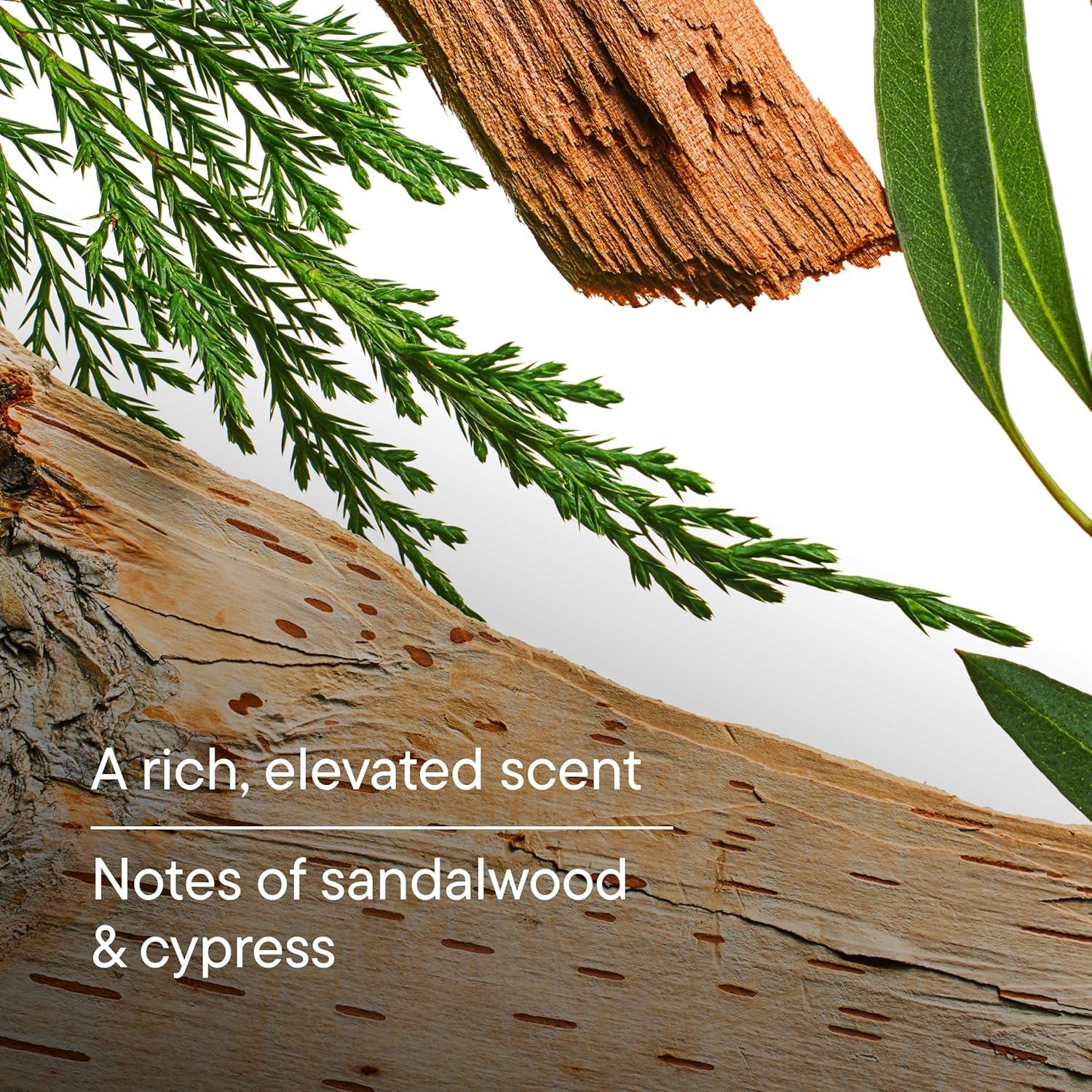 imageHarrys Bar Soap for Men Wildlands Scent 2 Pack 4 oz Mens Body Soap Made with PlantBased Cleansers No Parabens Sulfates or DyesWildlands